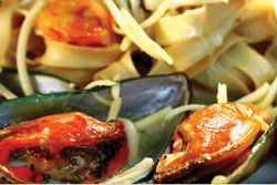 Hotel Cremorne - Sunshine Coast Tourism 1