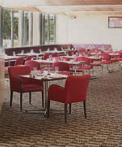 Trinity Bar And Restaurant - Holiday Sunshine Coast 2