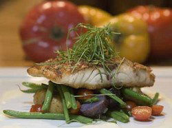 All Year Round Tavern - Sunshine Coast Tourism 2