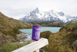 Elms Family Hotel - Sunshine Coast Tourism 2