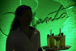 Manta - Holiday Sunshine Coast 2