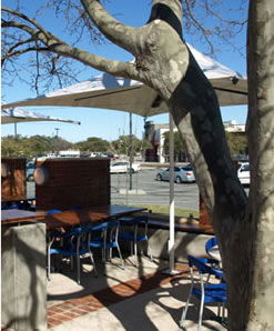 Lakers Tavern - Sunshine Coast Tourism 3