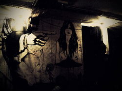 Pocket Bar - Sunshine Coast Tourism 3