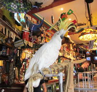 A Friend In Hand - Holiday Sunshine Coast