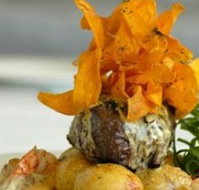 Timo Tabelle - Sunshine Coast Tourism