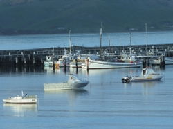Cape Otway VIC Sunshine Coast Tourism