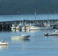 The Apollo Bay Hotel - Sunshine Coast Tourism