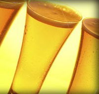 Dunwoody's Tavern - Holiday Sunshine Coast