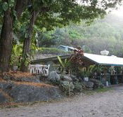 Ellis Beach Bar  Grill - Holiday Sunshine Coast