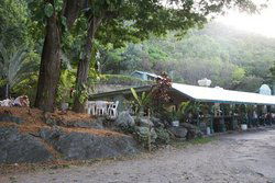 Ellis Beach Bar & Grill - Sunshine Coast Tourism 0