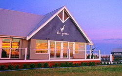 The Goose - Sunshine Coast Tourism 0