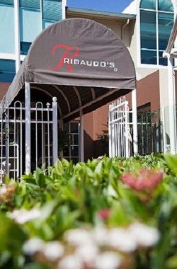 Ribaudos Ristorante - Sunshine Coast Tourism 0