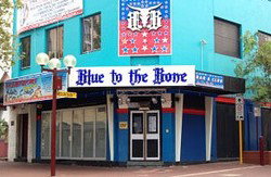 Blue To The Bone  - Holiday Sunshine Coast 0