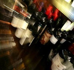 Mcmahons Point NSW Sunshine Coast Tourism