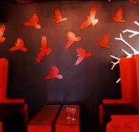 Soho Bar and Lounge - Sunshine Coast Tourism