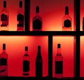 Glo Lounge Bar - Sunshine Coast Tourism