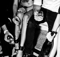 Beach Haus - Sunshine Coast Tourism