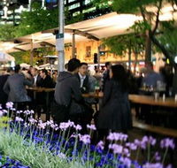 Quay Bar - Sunshine Coast Tourism