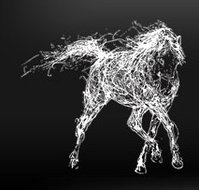 The White Horse - Sunshine Coast Tourism