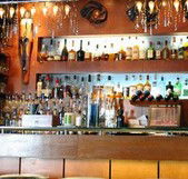 Safari Cocktail Bar - Holiday Sunshine Coast