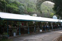 Ellis Beach Bar & Grill - Sunshine Coast Tourism 1