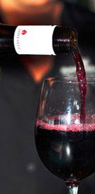 Barbados Lounge Bar & Restaurant - Sunshine Coast Tourism 1