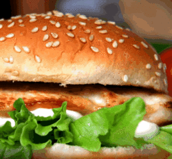 The Nags Head Hotel - Sunshine Coast Tourism 2