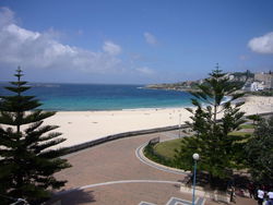 Aquarium - Holiday Sunshine Coast 2