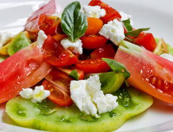 Hotel Illawarra - Holiday Sunshine Coast 2