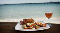 Equinox Cafe Restaurant - Sunshine Coast Tourism 2