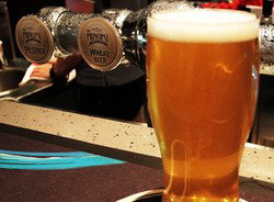 Springs Tavern - Holiday Sunshine Coast 2