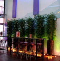 Leichhardt Hotel - Holiday Sunshine Coast 3