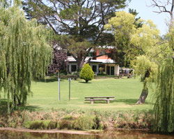 Bendemeer Hotel - Sunshine Coast Tourism 3