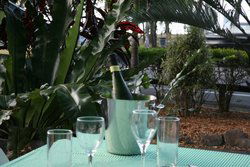 Ellis Beach Bar & Grill - Sunshine Coast Tourism 3
