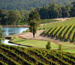 Charley Creek WA Sunshine Coast Tourism