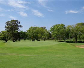 Singleton Golf Club - Sunshine Coast Tourism 1