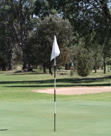 Inverell Golf Club - Holiday Sunshine Coast 1