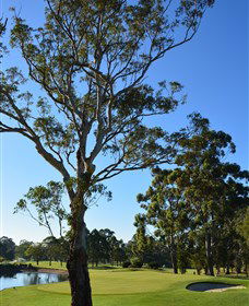 Ryde-Parramatta Golf Club - Sunshine Coast Tourism 0