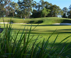 Ryde-Parramatta Golf Club - Sunshine Coast Tourism 1