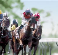Colac Turf Club - Sunshine Coast Tourism