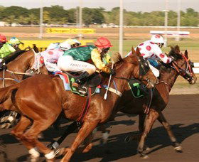 Darwin Turf Club - Sunshine Coast Tourism 1
