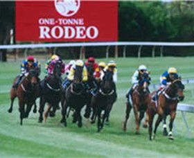 Geelong Racing Club - Holiday Sunshine Coast 1