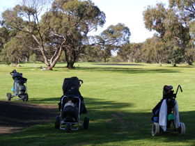 Minlaton Golf Club - Sunshine Coast Tourism 3