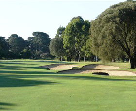 Fingal VIC Sunshine Coast Tourism
