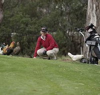 Tasmania Golf Club - The - Sunshine Coast Tourism