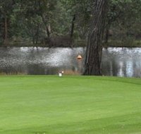 Hepburn Springs Golf Club - Sunshine Coast Tourism