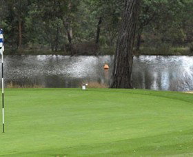 Hepburn Springs Golf Club - Sunshine Coast Tourism 0