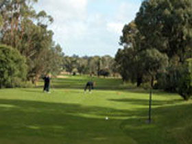 Mount Gambier Golf Club - Holiday Sunshine Coast 0