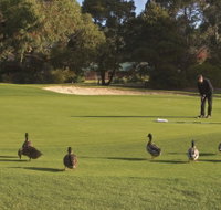 Royal Hobart Golf Club - Sunshine Coast Tourism