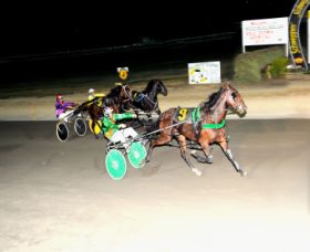 Bathurst Harness Racing Club - Sunshine Coast Tourism 0